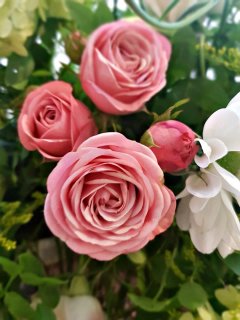 Розовое оформление зала &laquo;Любовь&raquo;