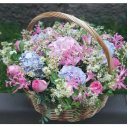 СЕРДЦЕ АФРОДИТЫ