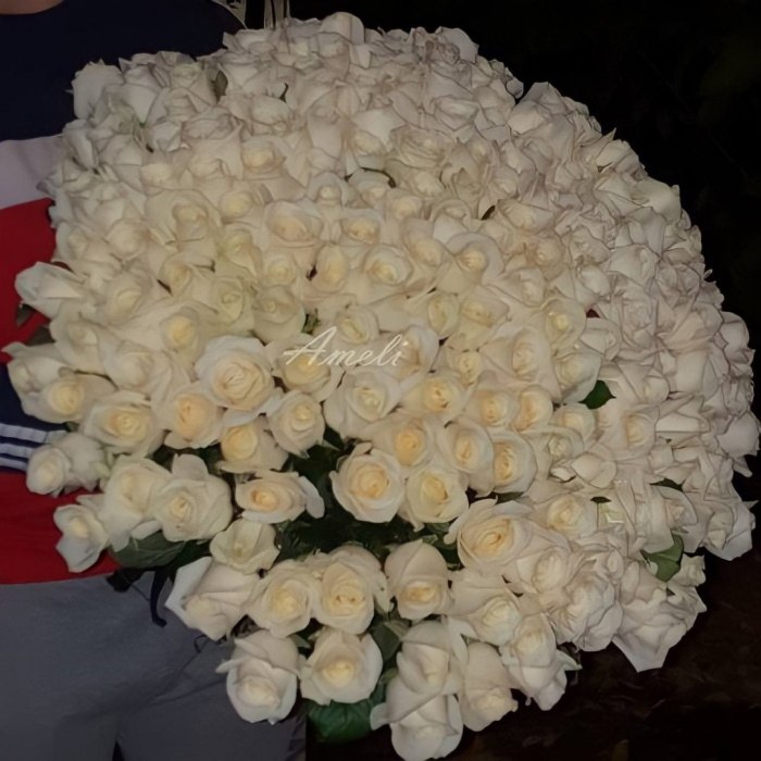 Букет из 151 белой розы «Вдохновение» — доставка цветов Королёве