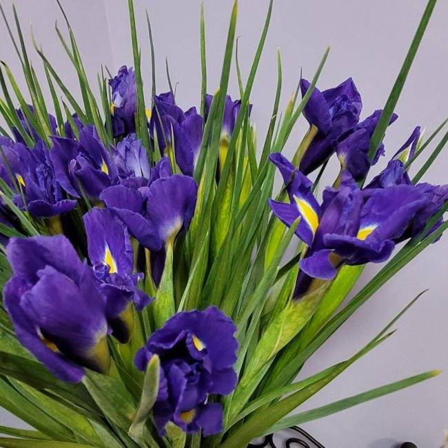 Монобукет из ирисов