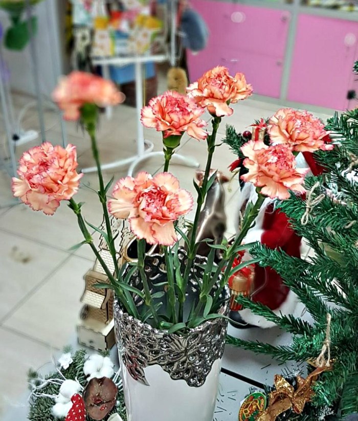 Гвоздика персиковая с розовой каймой (поштучно) — доставка цветов Королёве