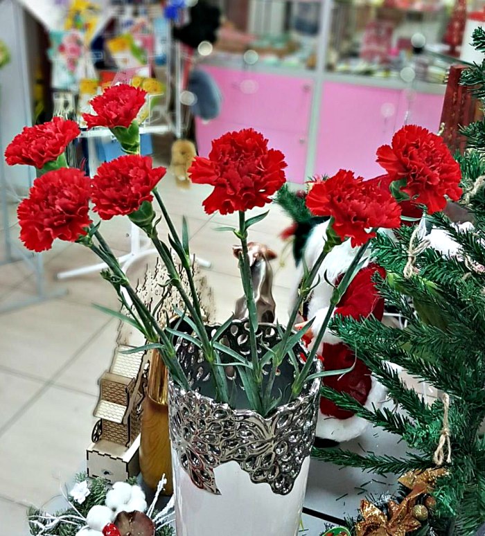 Гвоздика красная (поштучно) — доставка цветов Королёве