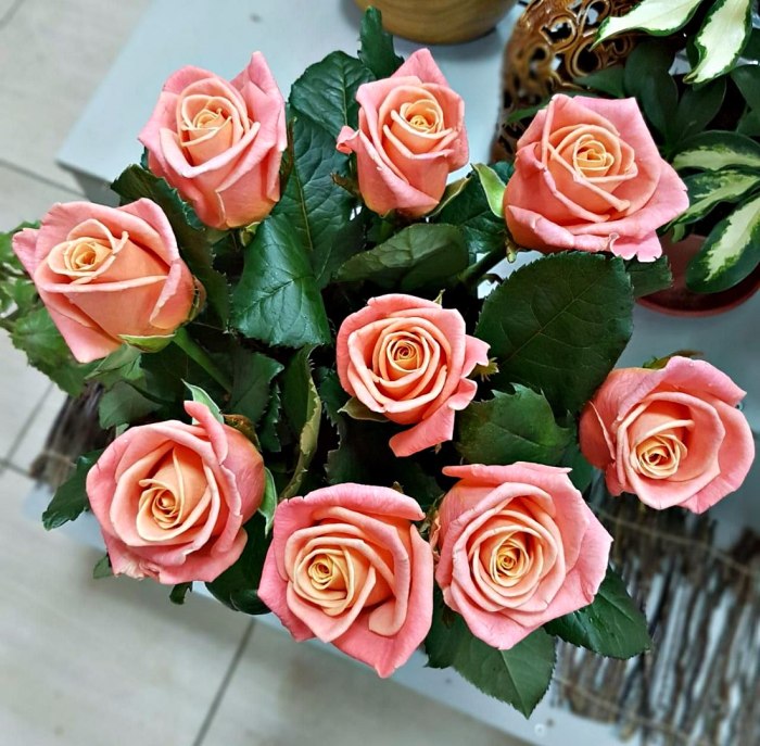 Роза Miss Piggy розовая, 70 см (поштучно) — доставка цветов Королёве