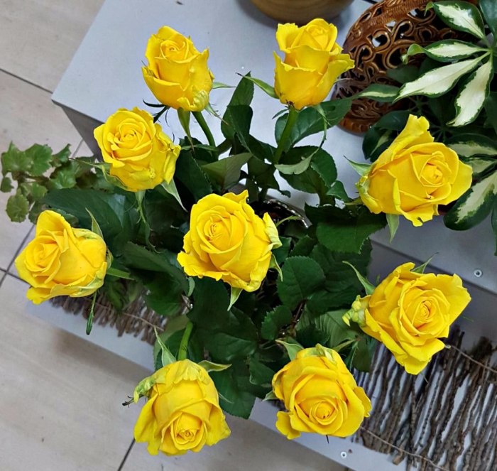 Роза Penny Lane, 70 см (поштучно) — доставка цветов Королёве
